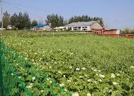 黑龍江發(fā)布實(shí)施方案 扶持農(nóng)民合作社和家庭農(nóng)場(chǎng)