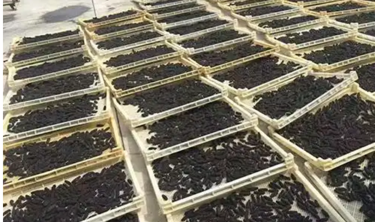 惡性競爭致價格“跌跌不休” 亟須制定行業(yè)標(biāo)準(zhǔn)保護(hù)遼參品牌價值