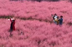 新玩法、新線路 秋日限定“上新” 激發(fā)“秋日經(jīng)濟(jì)”無(wú)限活力