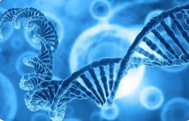 全球首個干細胞數(shù)據(jù)國際標(biāo)準(zhǔn)發(fā)布