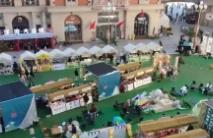 多地“上新”豐富消費(fèi)場景 惠民生樂享平臺澎湃經(jīng)濟(jì)發(fā)展新動(dòng)能