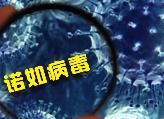 冬季諾如病毒高發(fā)，如何預防？