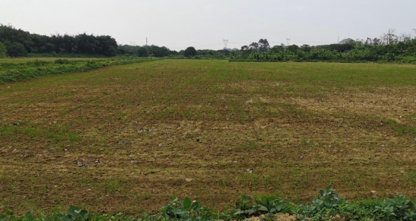 自然資源部：運(yùn)用地方政府專項(xiàng)債券資金收回收購(gòu)存量閑置土地