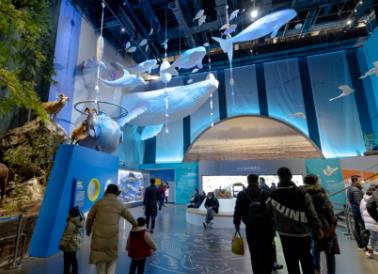 河南省科技館新館開館，推出“一元觀影”服務