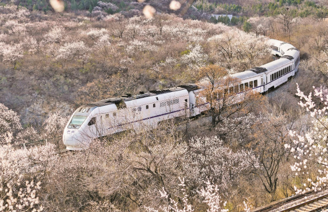 旅游列車集體亮相！在中華文明風(fēng)景線上徜徉