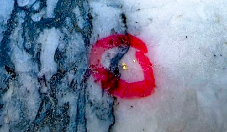 價值6000億！湘東超大金礦黃金遠景儲量超千噸