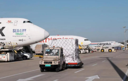 今年已完成貨運(yùn)量70.7萬噸 鄭州機(jī)場突破年貨運(yùn)量峰值