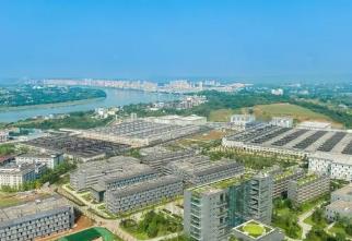 被授予“中國(guó)生態(tài)白酒之鄉(xiāng)” 四川宜賓南溪如何推動(dòng)白酒產(chǎn)業(yè)綠色低碳可持續(xù)發(fā)展？