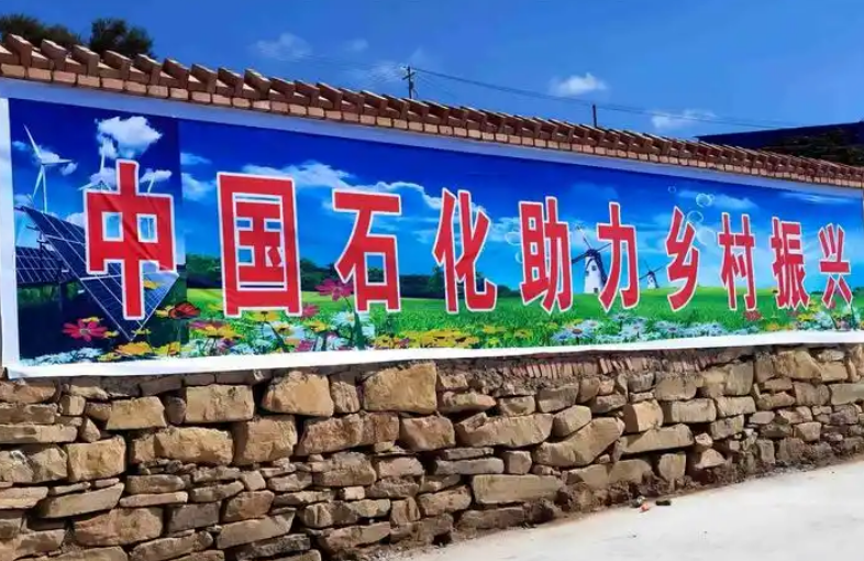 中國石化鄉(xiāng)村振興實踐獲評可持續(xù)發(fā)展最佳實踐案例
