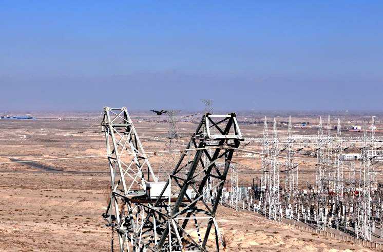 新疆電網(wǎng)首臺光伏儲能網(wǎng)格巡檢“駐塔式”無人機(jī)投入運(yùn)行