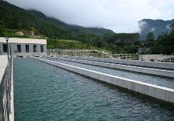 2024年福州供水普及率達(dá)99.97%  每日供水能力321.95萬(wàn)噸