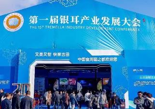 “銀耳之鄉(xiāng)”譜新篇：第一屆銀耳產(chǎn)業(yè)發(fā)展大會(huì)在古田開(kāi)幕，引領(lǐng)鄉(xiāng)村振興新航程