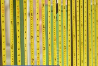 從“草根經(jīng)濟”走向“樹根經(jīng)濟”，小卷尺“丈量”大世界