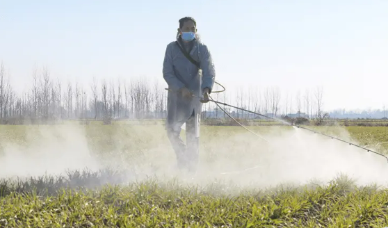 主產(chǎn)區(qū)緊抓農(nóng)業(yè)生產(chǎn)冬管關(guān)鍵期 夯實來年糧食豐收基礎(chǔ)