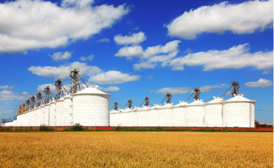 2024，盤點(diǎn)“大國(guó)糧倉”米袋子