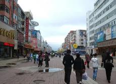 黑龍江省順利完成首次鄉(xiāng)鎮(zhèn)街道賦權(quán)評(píng)估工作