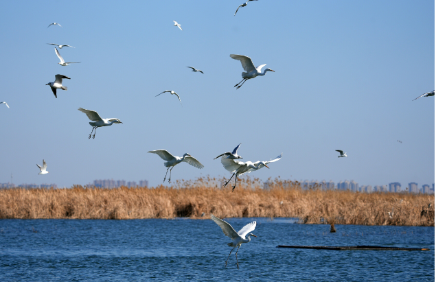 文化和旅游部確定19家旅游景區(qū)為國家5A級(jí)旅游景區(qū)