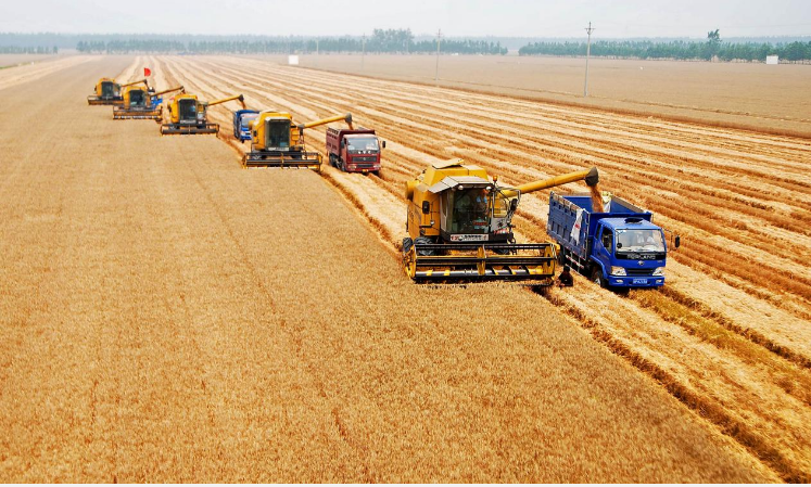 農(nóng)發(fā)種業(yè)：科技創(chuàng)新助力種業(yè)振興