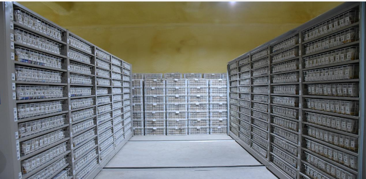 20241230094647110.png 20241230094647110.png