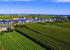 內(nèi)蒙古4年安排銜接資金484.5億元助力鄉(xiāng)村振興