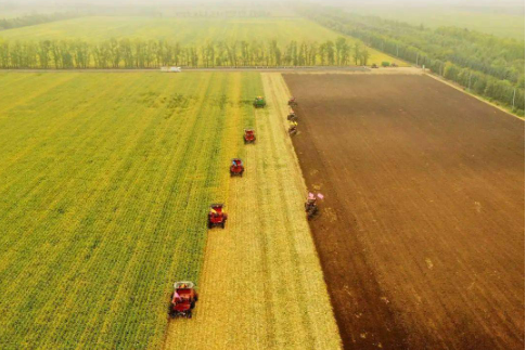 黑龍江稅務(wù)落實(shí)惠農(nóng)利企優(yōu)惠政策，及時(shí)響應(yīng)農(nóng)企農(nóng)戶服務(wù)訴求
