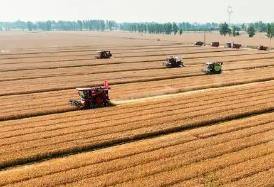 河南南陽(yáng)：中州糧倉(cāng)，“食”力升級(jí)