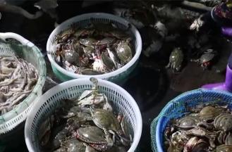 新年嘗“鮮” 2025年第一波海鮮上市豐富消費(fèi)市場(chǎng)