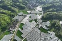 50個！福建省鄉(xiāng)村振興局最新發(fā)布