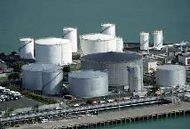 首個(gè)綠色燃料倉儲(chǔ)市場價(jià)格指導(dǎo)產(chǎn)品發(fā)布