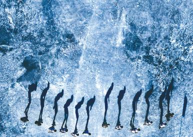 文旅融合助力黑龍江冷水魚(yú)“游”向全國(guó)