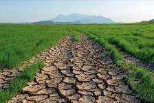 全國農(nóng)業(yè)氣候資源普查和區(qū)劃試點形成可復制可推廣經(jīng)驗成果