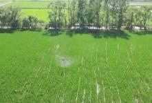 農(nóng)業(yè)農(nóng)村部啟動國家地震災害應急二級響應措施