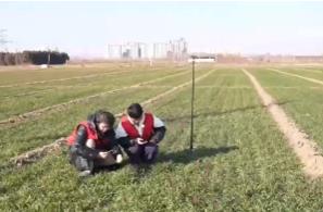 “春肥冬儲”跑出“加速度” 確保2025年第一季糧食生產(chǎn)穩(wěn)穩(wěn)當(dāng)當(dāng)