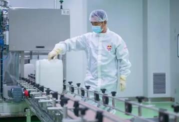 40萬斤！“中國桂花之鄉(xiāng)”探路桂花深加工產(chǎn)業(yè)鏈