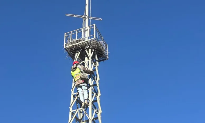 20250114094342966.png 20250114094342966.png