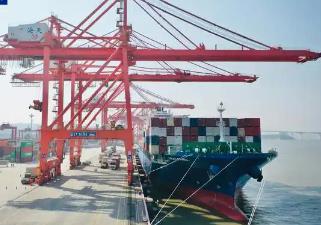 廈門(mén)港迎來(lái)新年首條外貿(mào)新航線 “一帶一路”航線達(dá)96條