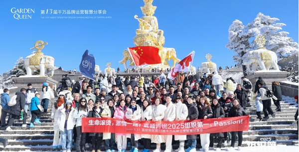 20250116095007239.png 20250116095007239.png