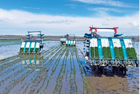 黑龍江提升農(nóng)險服務(wù)讓受災(zāi)戶吃下“定心丸”