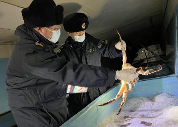 2024年黑龍江省進口食用水生動物超1000噸 創(chuàng)歷史新高