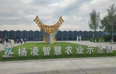 楊凌示范區(qū)加速打造農(nóng)業(yè)新質(zhì)生產(chǎn)力策源地