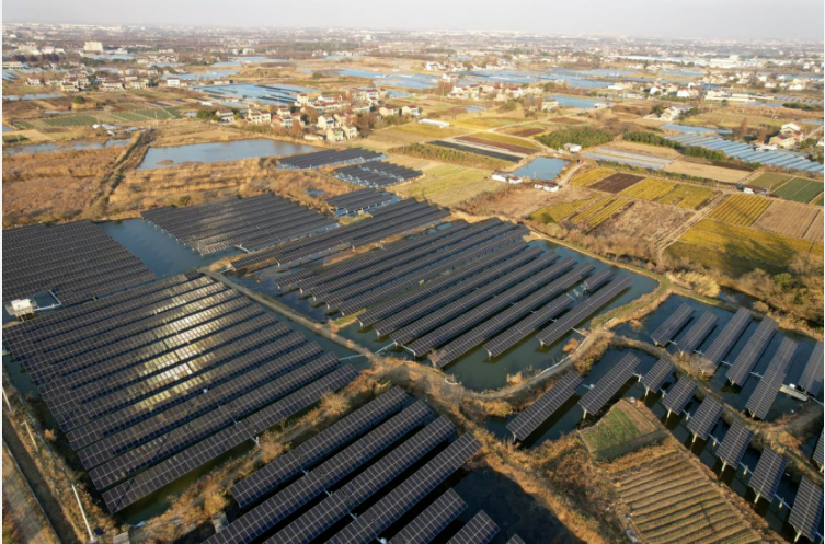 20250122133046760.png 20250122133046760.png