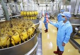 推動(dòng)餐食高質(zhì)量標(biāo)準(zhǔn)化發(fā)展 中餐工業(yè)化創(chuàng)新成果在京發(fā)布