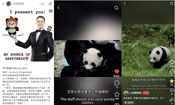 20250122154335355.png 20250122154335355.png