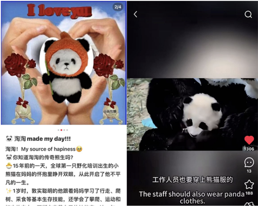 20250122155016794.png 20250122155016794.png