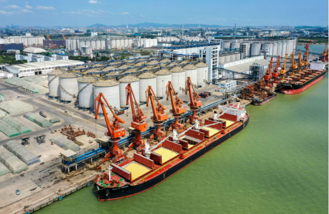 中國遠(yuǎn)洋海運：激活糧食“大遷徙”中的高速引擎