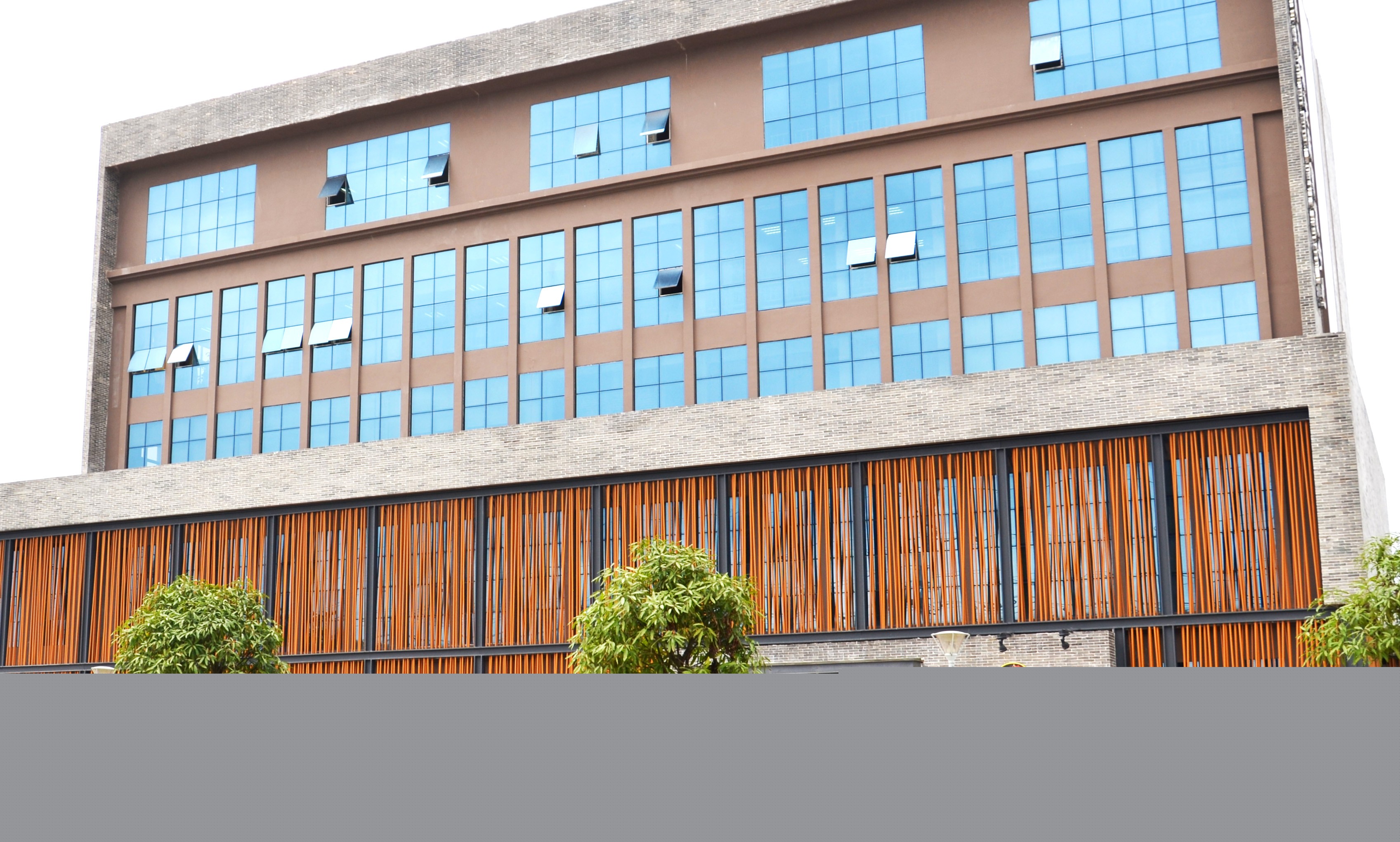 1737596819429913.jpg 1737596819429913.jpg