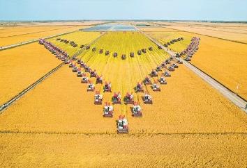 10組數(shù)據(jù)，看2024年龍江“三農(nóng)”成績(jī)單！