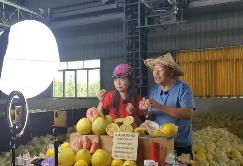 福建探索電商助農(nóng)新路徑