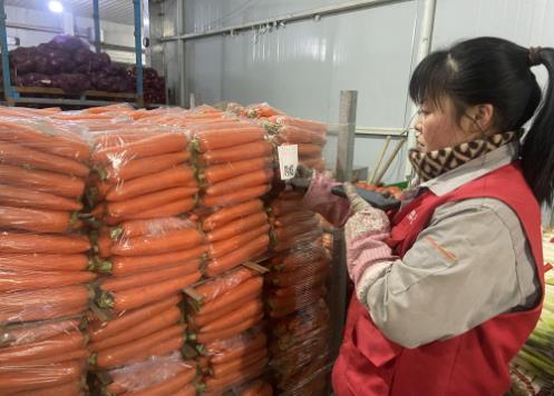 不少蔬菜水果進了垃圾桶，如何減少損耗浪費？