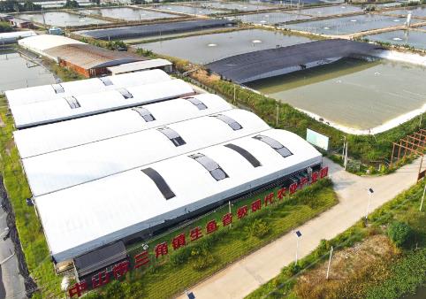 年產值超17億元 “中國生魚之鄉(xiāng)”探索智慧漁業(yè)發(fā)展